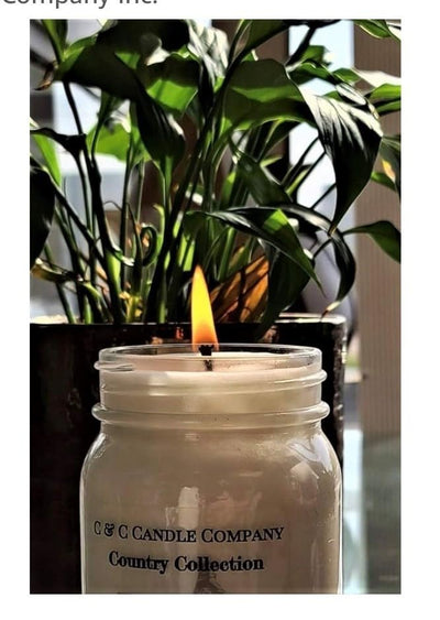 JessChek Vanilla Dreams Soy Candle, 16 oz (475 ml) – Smooth, Rich Vanilla Blend, Hand Poured in Canada