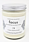 Mindfulness Collection, Cleanse (Ocean, Cypress & Lavender), Hand Poured Artisan Soy Candle Embedded with Gemstone, 10 oz (288 ml), Made in Canada by Life Junkie.