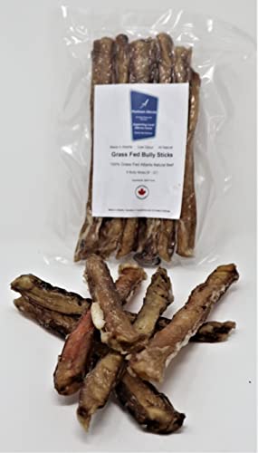 Platinum Alberta Grass Fed Bully Sticks for Dogs, 6 x (9"-12") Made in Alberta, Canada - 100% Grass Fed Alberta Beef, 100% Beef Pizzle, All Natural, Low Odour, No Preservatives (6)