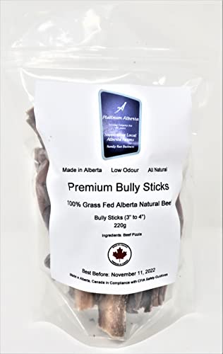 Platinum Alberta Premium Bully Sticks for Dogs - 220G (3"-4"). Made in Alberta, Canada in a Family Run Business - 100% Grass Fed Alberta Beef, 100% Beef Pizzle, All Natural, Low Odour, No Preservatives