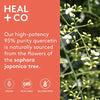 HEAL + CO. Quercetin Supplement | High Potency, 1000mg per serving | Antioxidant | 120 x 500 mg Capsules