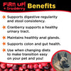 Diggin Your Dog Firm Up Pumpkin Supplement