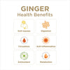 The Ginger People Ginger Juice, 99.7% Pure, Non-GMO, 32.0 Fl Oz (Pack of 1), 32 Fluid_Ounces