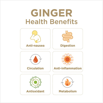 The Ginger People Ginger Juice, 99.7% Pure, Non-GMO, 32.0 Fl Oz (Pack of 1), 32 Fluid_Ounces